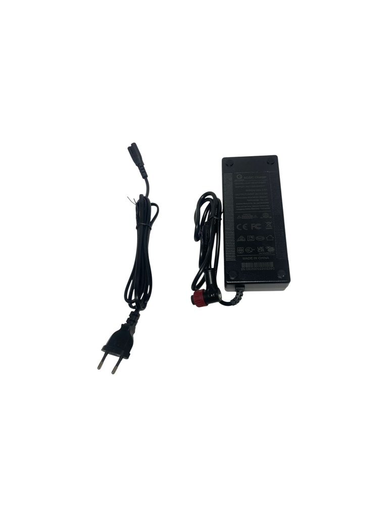 Charger (Cargador) Vsett 10 Apex