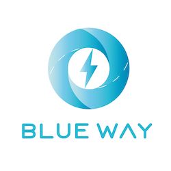 Logo Blue Way Sach