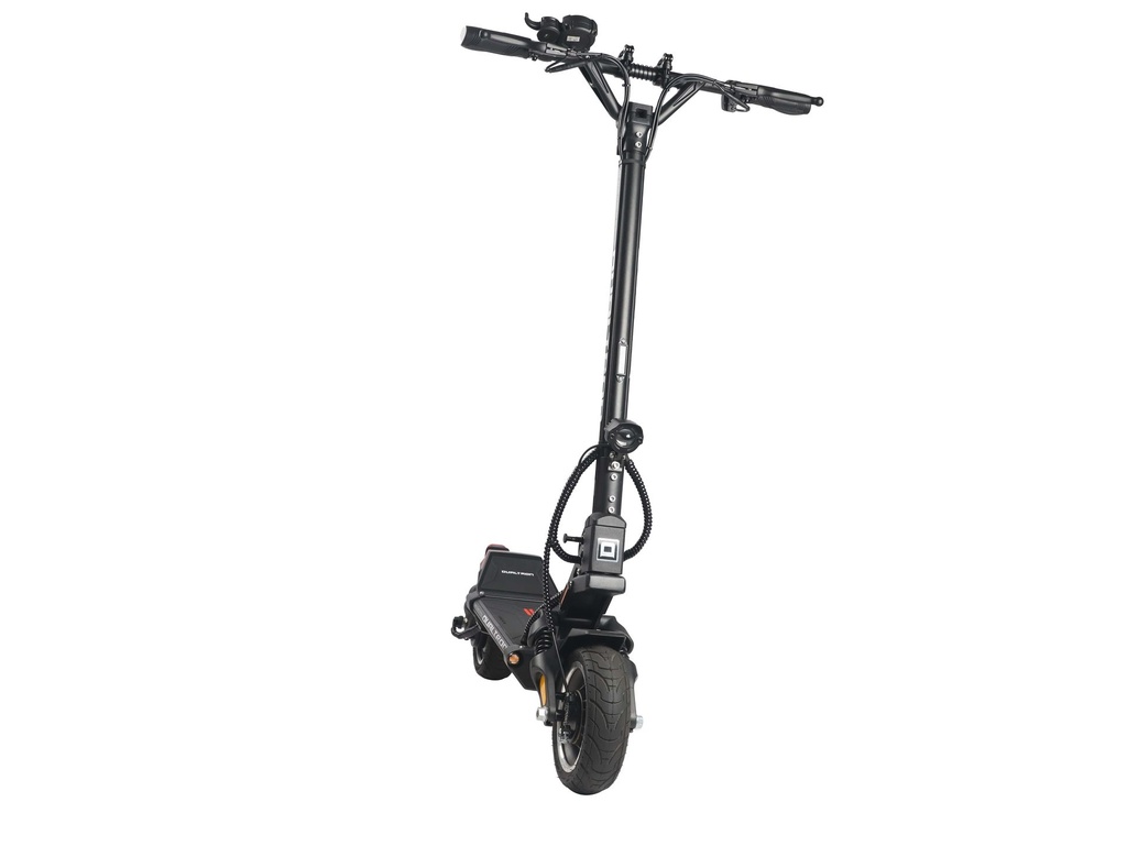 DT Aminia Special (Single) & Long Body (Dual)