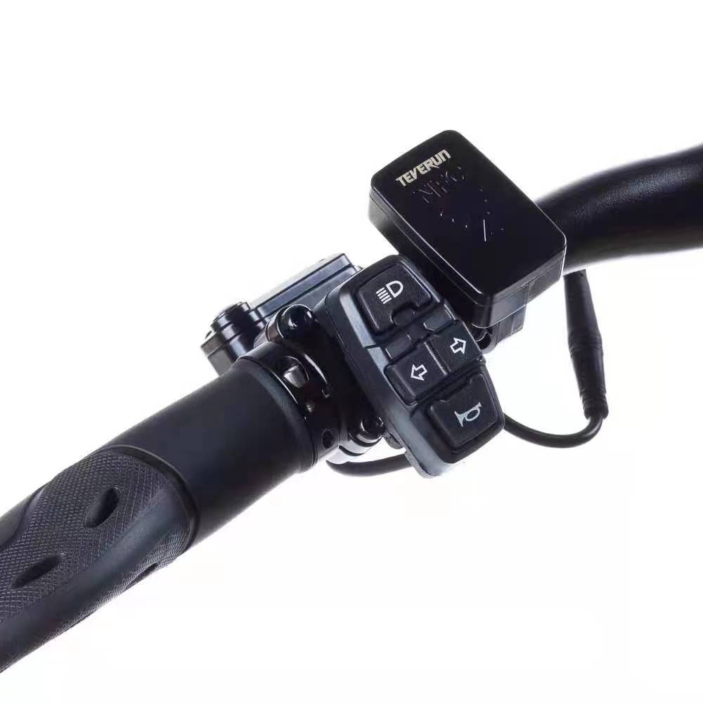 Teverun Fighter Mini Pro 60V 25 LG