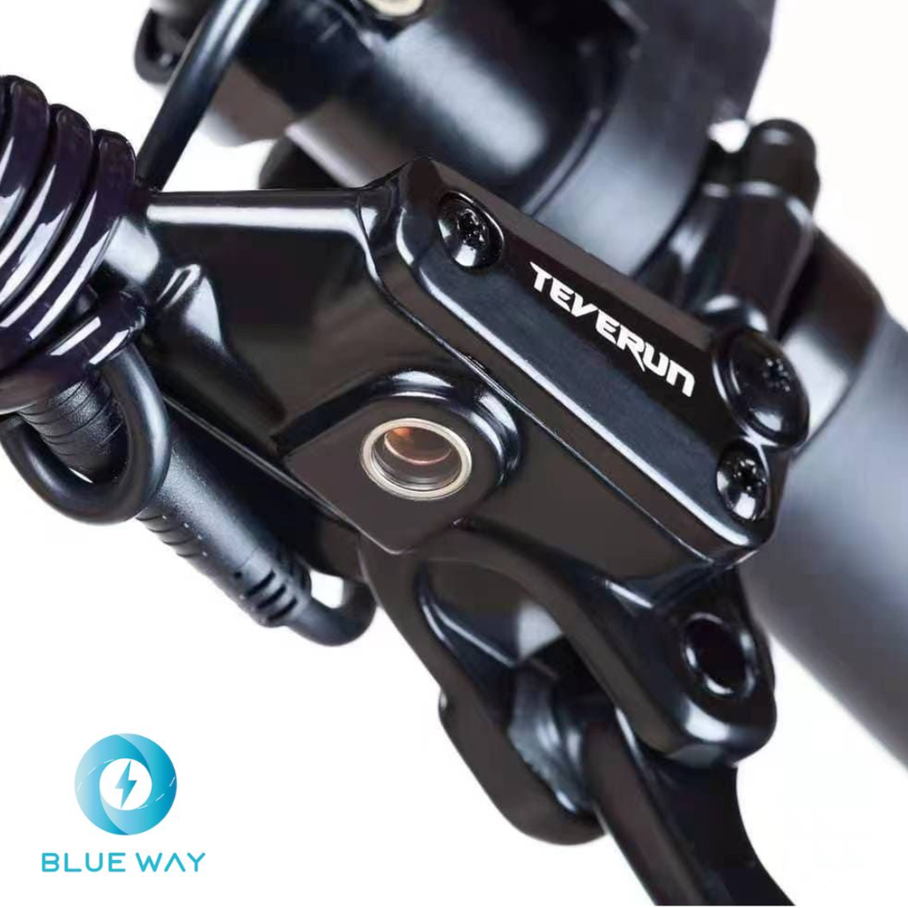 Teverun Fighter Mini Pro 60V 25 LG