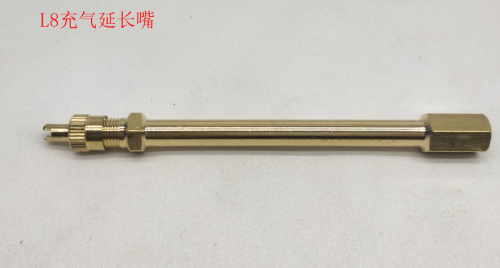 Ankle Pad (Almohadilla de tobillo) Inmotion V5