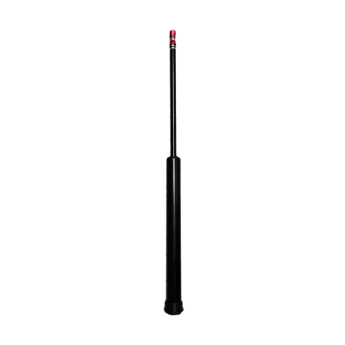 Gas spring assembly Inmotion V11