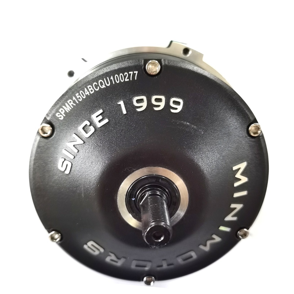 Rear Motor ( Motor trasero) Dualtron Spider Max