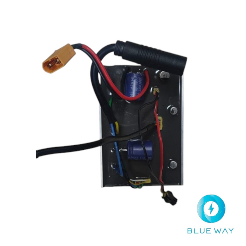 Driver board assembly (Placa de controlador) for Inmotion E20