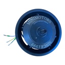 Rear Motor (Motor trasero)  Dualtron Spider