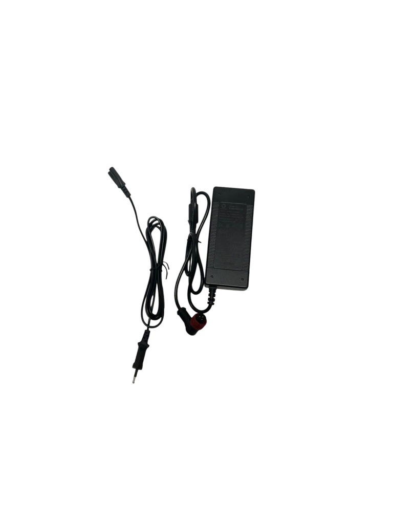 New charger (Nuevo cargador) 48V Vsett 9