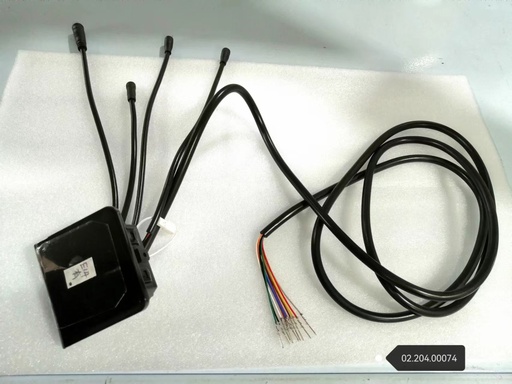 [mm-dt-togo-display-ey2] Display New EY2 (with cruise control) Dualtron Togo